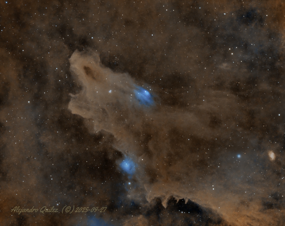 LDN 1235
Nebulosa Tiburon Oscuro